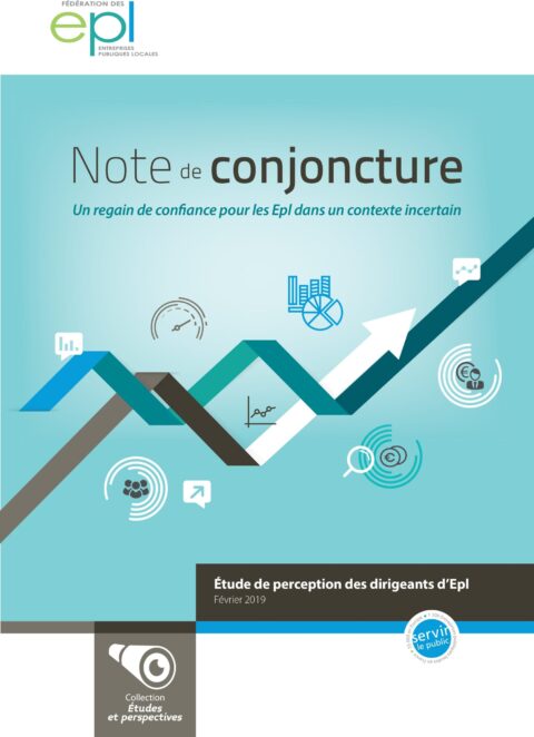 Note de conjoncture 2019 – Perception des dirigeants d’Epl
