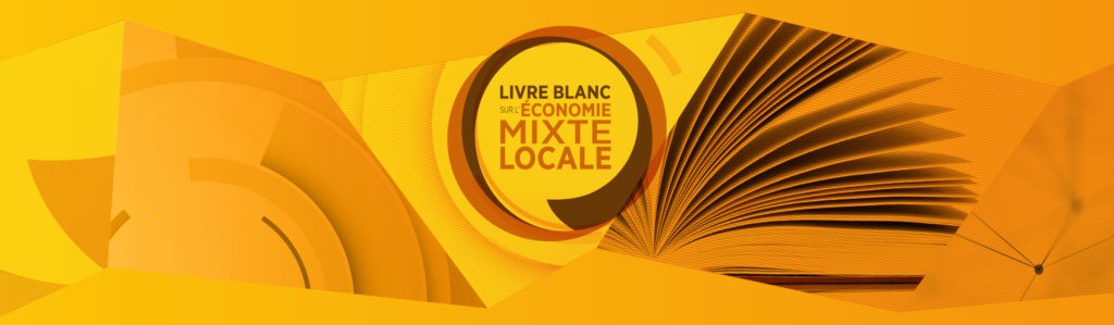 Livre blanc sur l'économie mixte locale