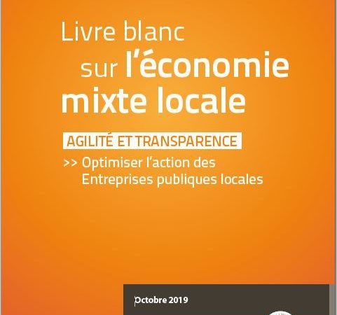 Livre blanc économie mixte