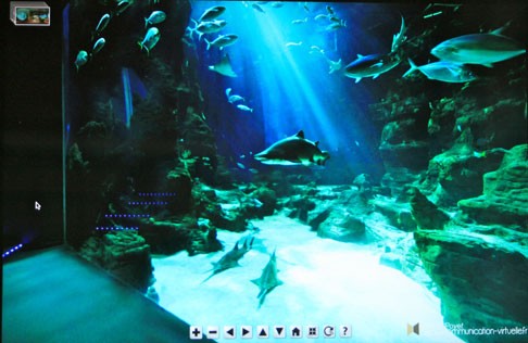 Montpellier : L’aquarium Mare Nostrum, version Smartphone