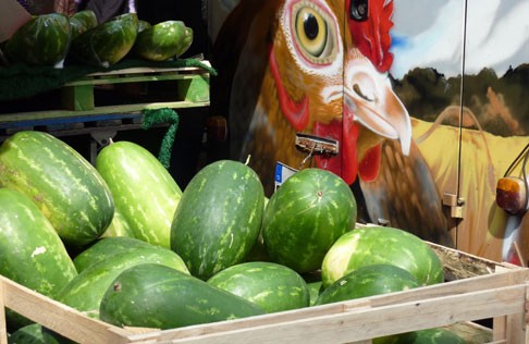 Béziers : L’Occitane de restauration tend la main aux producteurs locaux