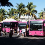 La Réunion : La Semittel coordonne les transports scolaires au Sud