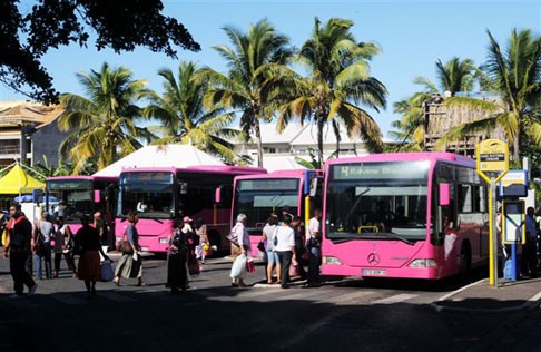 La Réunion : La Semittel coordonne les transports scolaires au Sud