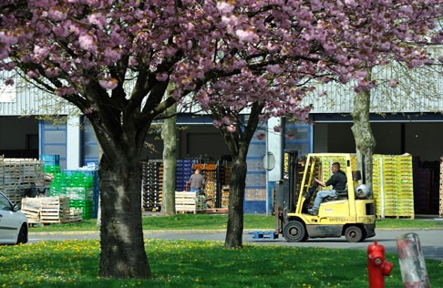 Lille : Un GIE pour la logistique urbaine de demain