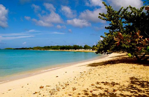 Guadeloupe : Les plages se refont une beauté