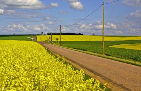 De l’huile verte pour les transformateurs