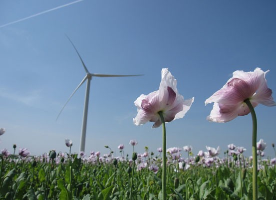 Le parc éolien de Champigneul-Pocancy dans le bon vent