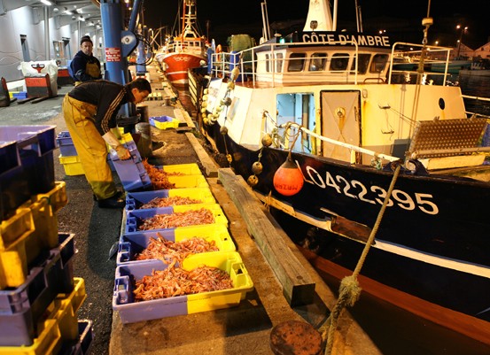 À Lorient, le port a la pêche