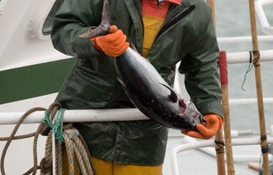 La pêche polynésienne, une affaire d’expert