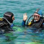 Lorient : À la découverte du nautisme, des vagues aux abysses