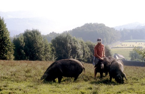 Ingénierie : La MAAP, moteur du développement agroalimentaire des Pyrénées