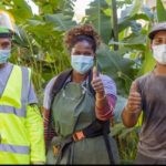 A la Réunion, Edden érige une digue sanitaire contre la dengue