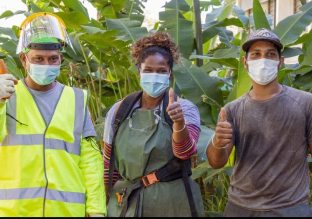 A la Réunion, Edden érige une digue sanitaire contre la dengue