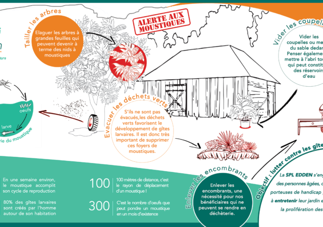 Lutte antivectorielle et promotion d’un écosystème social et environnemental par la SPL EDDEN