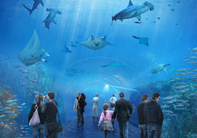 Grand Nausicaa, l’aquarium XXL