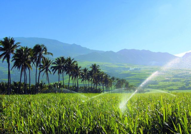 Face à l’eau, La Réunion fait la force