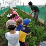 La Réunion accueille pareillement les enfants autrement capables