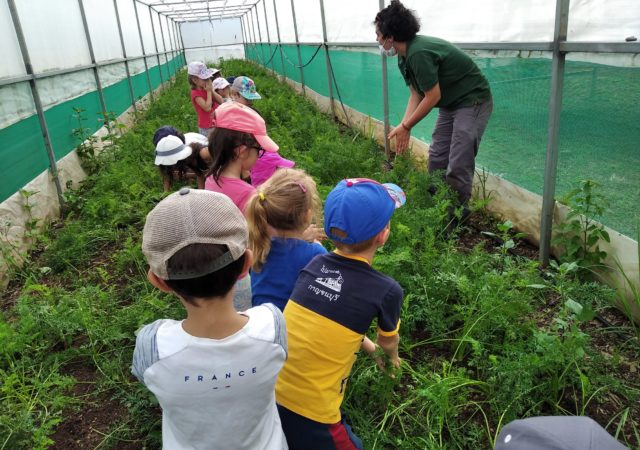 La Réunion accueille pareillement les enfants autrement capables