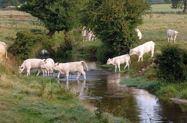 Nièvre Aménagement cultive la filière agroalimentaire