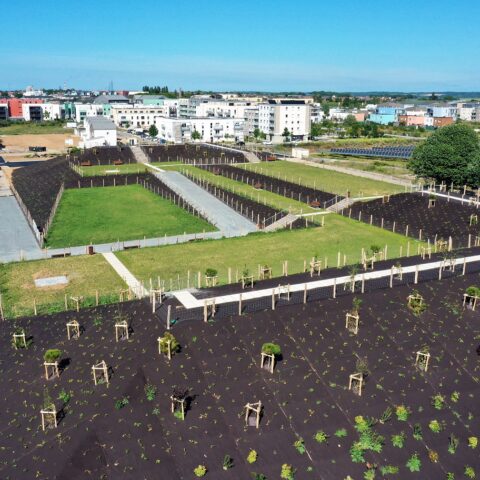 Une plateforme dédiée à la valorisation des terres polluées