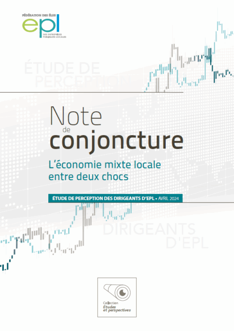 Note de conjoncture 2024 : l’économie mixte locale entre deux chocs